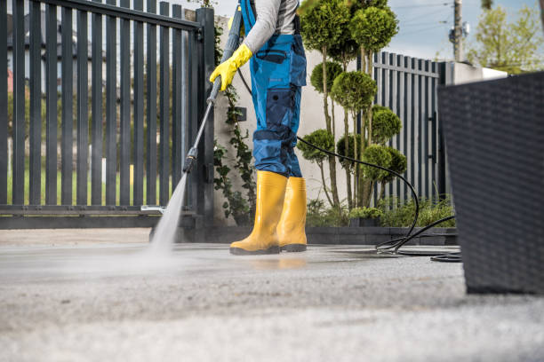 Boat and Dock Cleaning in Virginia Gardens, FL