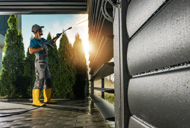 Best Rust Removal  in Virginia Gardens, FL